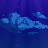 Nicolas Foussard's avatar